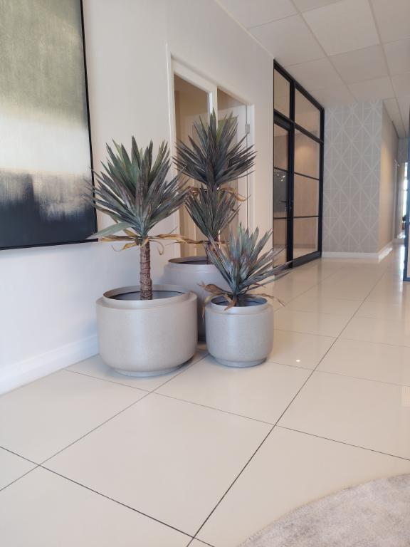 Commercial Property for Sale in Plettenberg Bay Central Western Cape